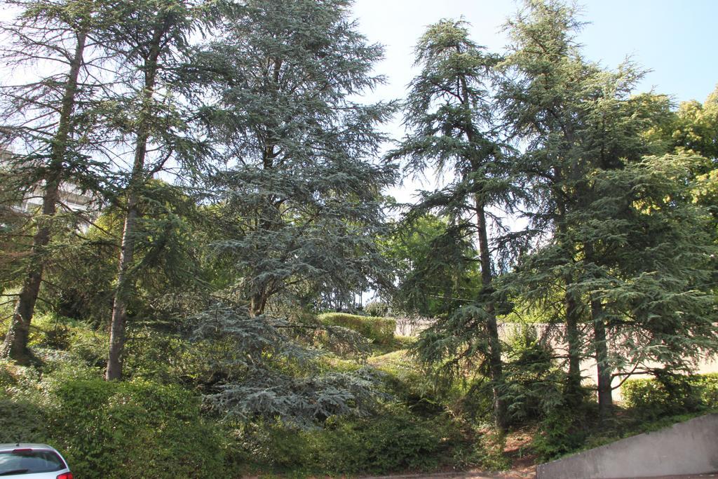 Les Hauts De Perrache Bed & Breakfast Sainte-Foy-les-Lyon Ngoại thất bức ảnh